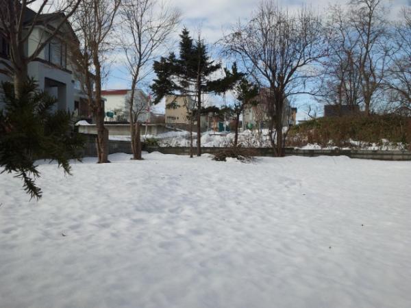 Garden. Fathom ~ The garden Io