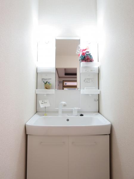 Wash basin, toilet. New vanity Shower