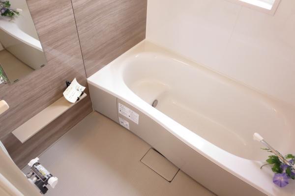 Bathroom. New unit bus Calm color accent panels