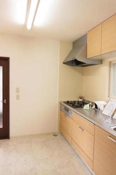 Other introspection. Spacious kitchen space