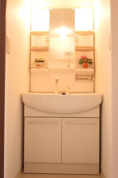 Wash basin, toilet. New vanity