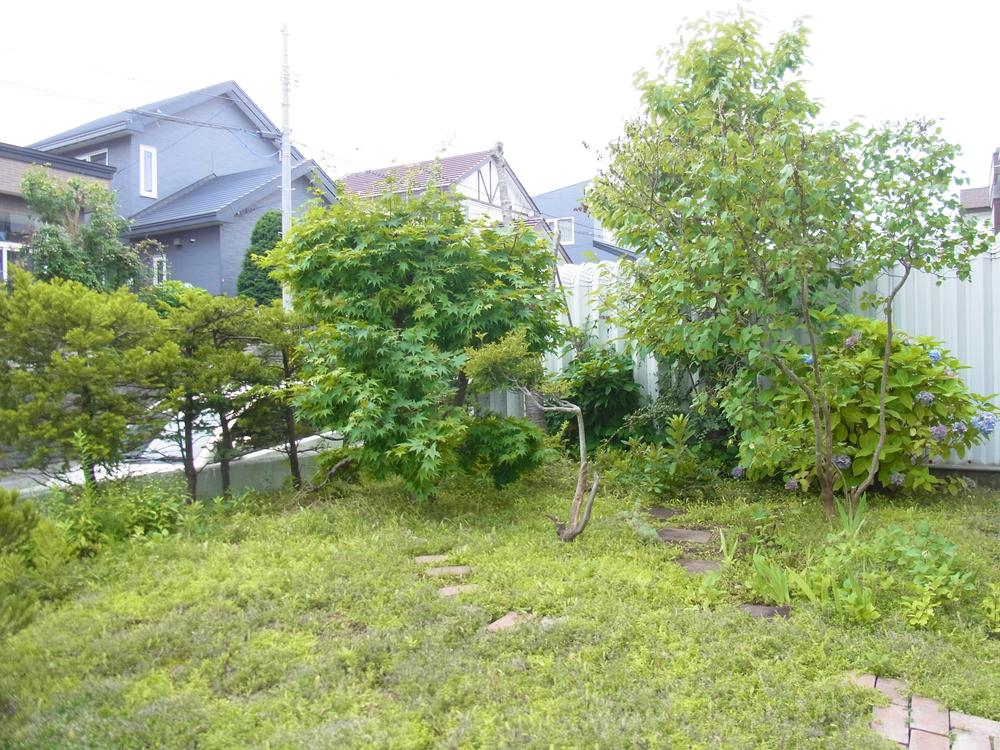 Garden. Facing south in a sunny garden ☆ 