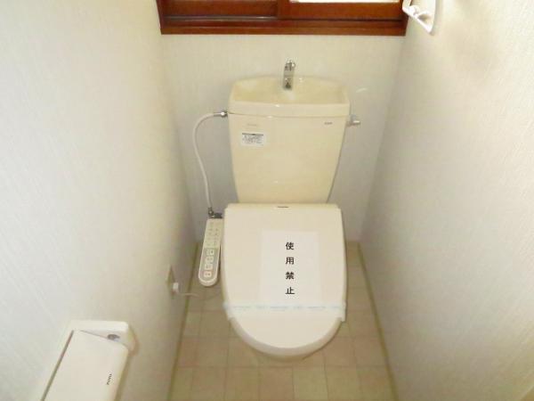 Toilet. Toilet was a new exchange with a shower