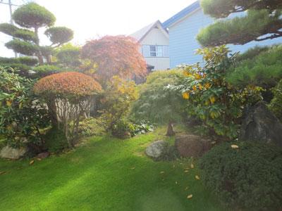 Garden. It is a very beautiful garden. You can look from the living room window