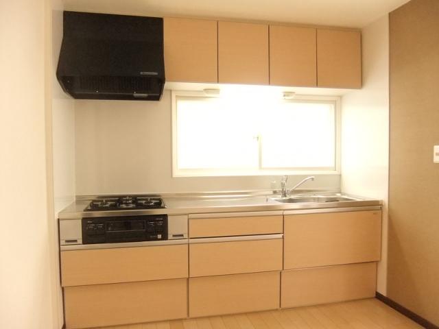 Kitchen. Indoor (12 May 2013) Shooting