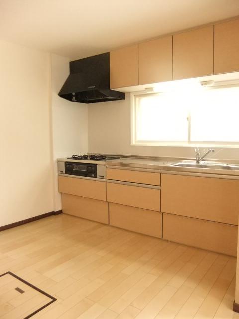 Kitchen. Indoor (12 May 2013) Shooting