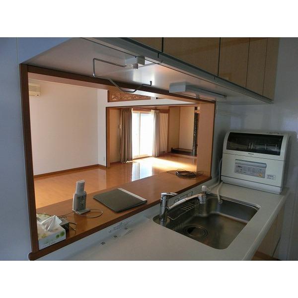 Other introspection. Dishwasher