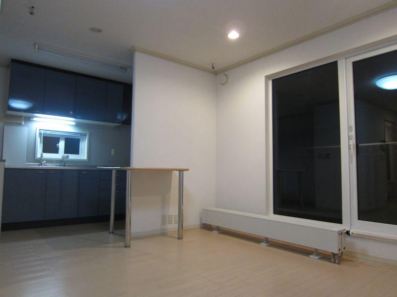 Kitchen. Indoor (11 May 2013) Shooting