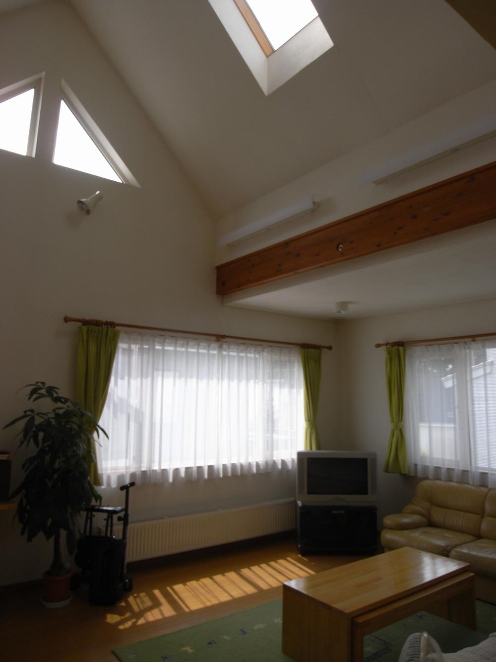 Living. Skylight with a living