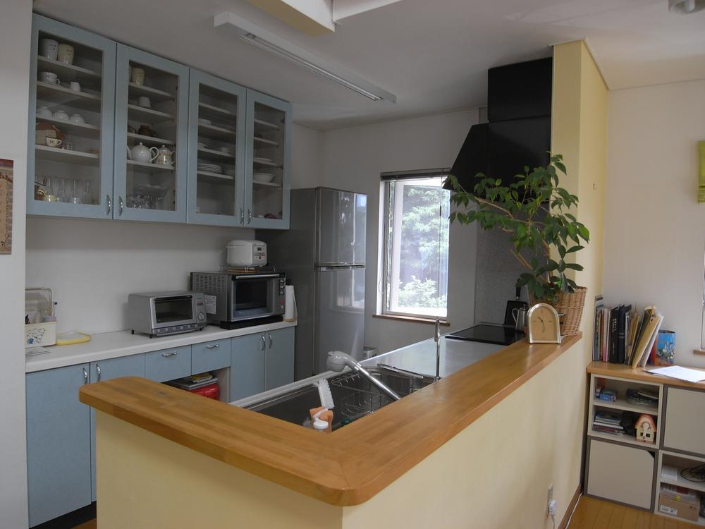 Kitchen. System kitchen with a counter