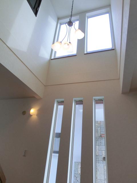 Other introspection. Blow-by