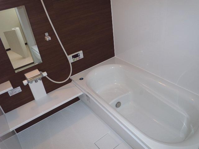 Bathroom. Indoor (11 May 2013) Shooting