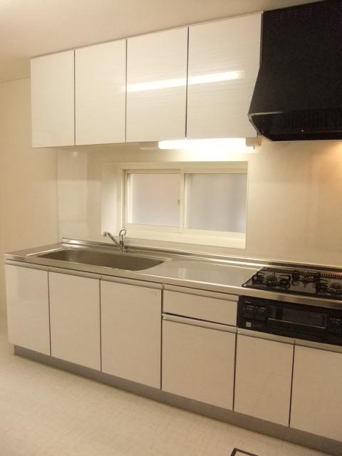 Kitchen. Indoor (11 May 2013) Shooting