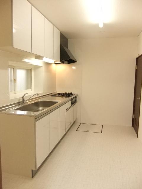 Kitchen. Indoor (11 May 2013) Shooting