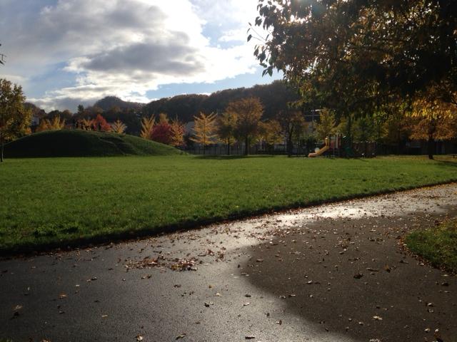 Other. Adjacent land Acorn Park