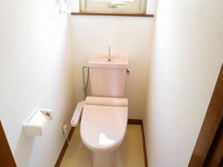 Toilet. Indoor (11 May 2013) Shooting