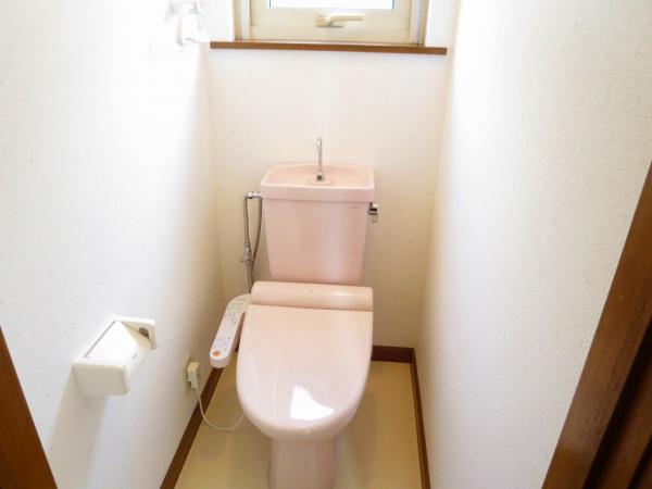 Toilet. Toilet seat was a new exchange with a shower.