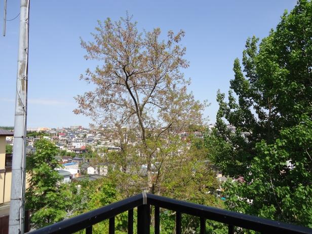 View photos from the dwelling unit. View from the second floor balcony (June 2013) Shooting