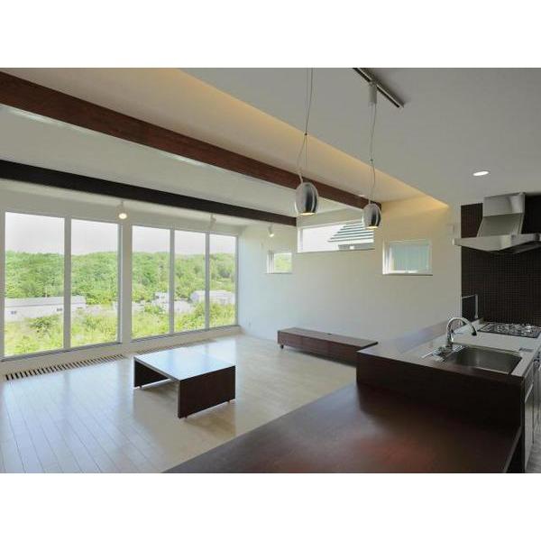 Living. Living + scenery