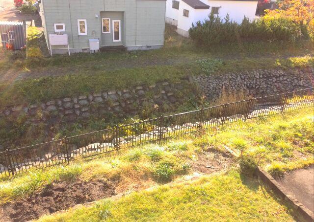 Garden. Local (11 May 2013) Shooting