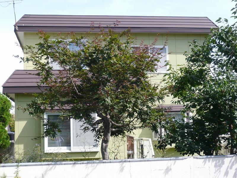 Same specifications photos (appearance). Local (September 2013) Shooting