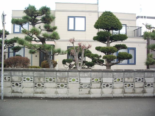 Local appearance photo