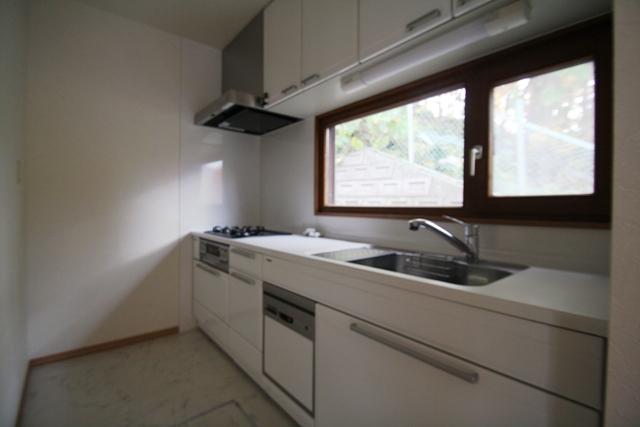 Kitchen. Indoor (10 May 2013) Shooting