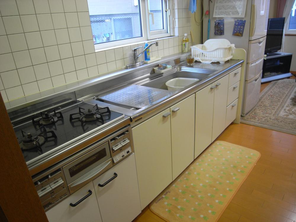 Kitchen. Indoor (11 May 2013) Shooting