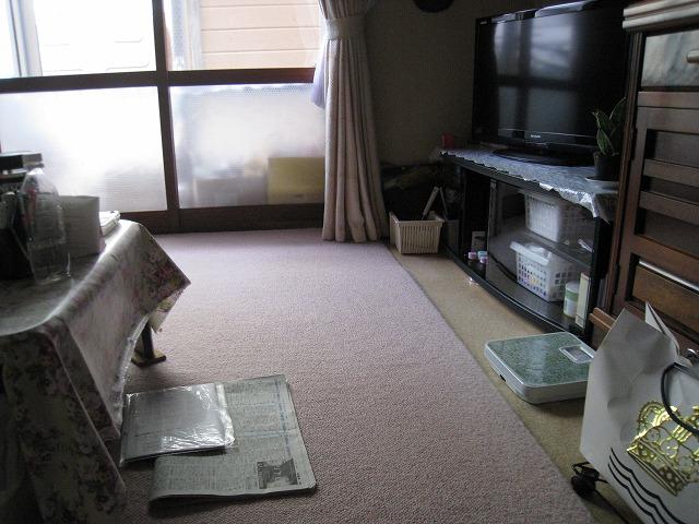 Living. Room (May 2013) Shooting