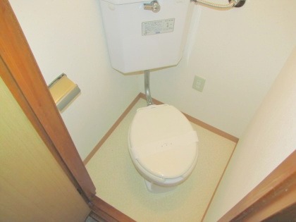 Toilet. Disinfection have been cleaned ☆