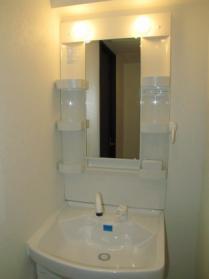 Washroom. Wash basin