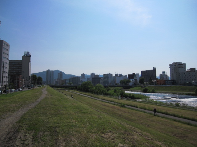 park. 481m until Toyohira Bridge south green space (park)