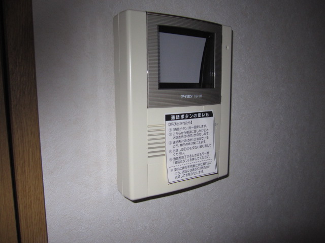 Security. TV monitor phone of peace of mind