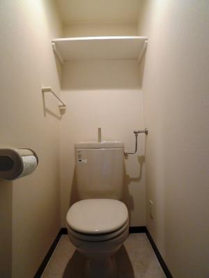 Toilet. You can put well as cleaning tool because there is a shelf to the toilet top ☆