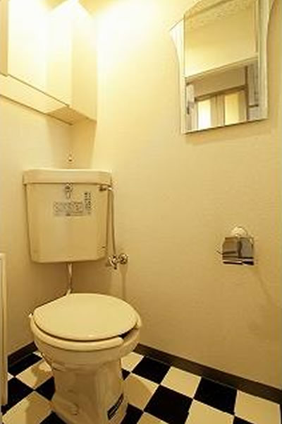 Toilet. Stylish toilet