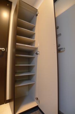 Entrance. Big shoes BOX that a lot can be stored shoes