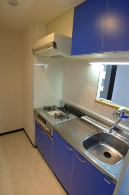 Kitchen. Storage there are a lot of is the color kitchen