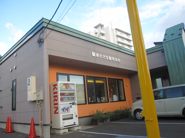 Other. 600m to a small animal hospital (Other)