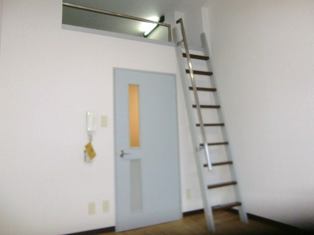 Living and room. Designer's Room