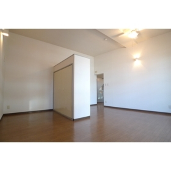 Living and room. Living