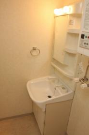 Washroom. Wash basin