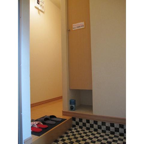 Entrance. Under the entrance monochrome pattern