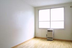 Living and room. Living