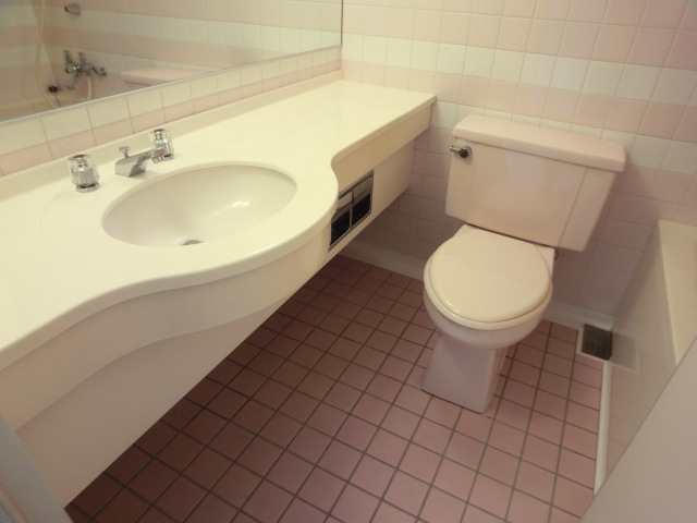 Toilet. It is a hotel use!