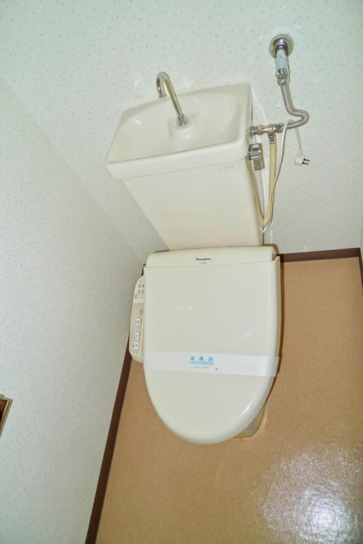 Other. Toilet