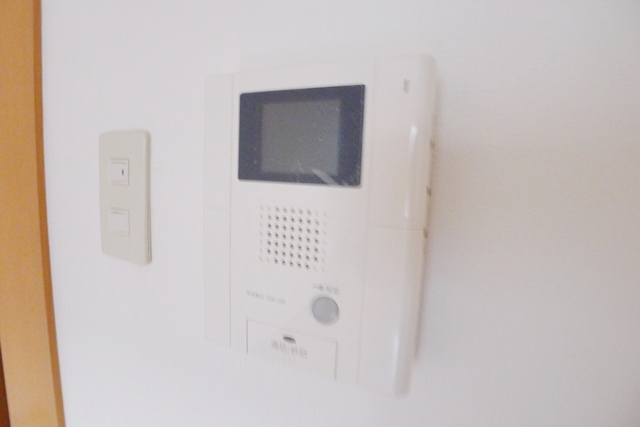 Security. TV interphone