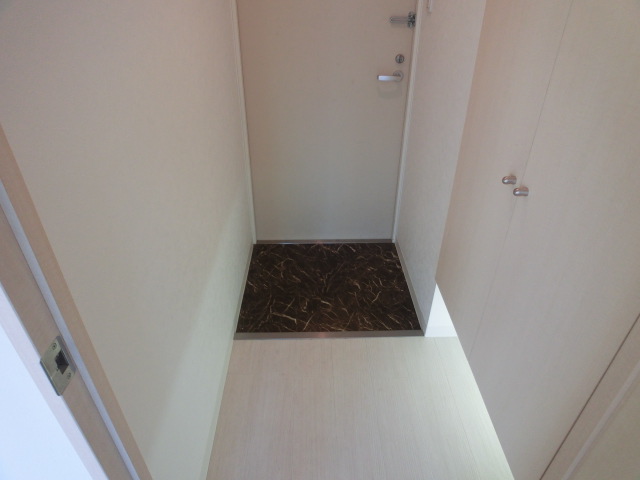 Entrance. Stylish indirect lighting