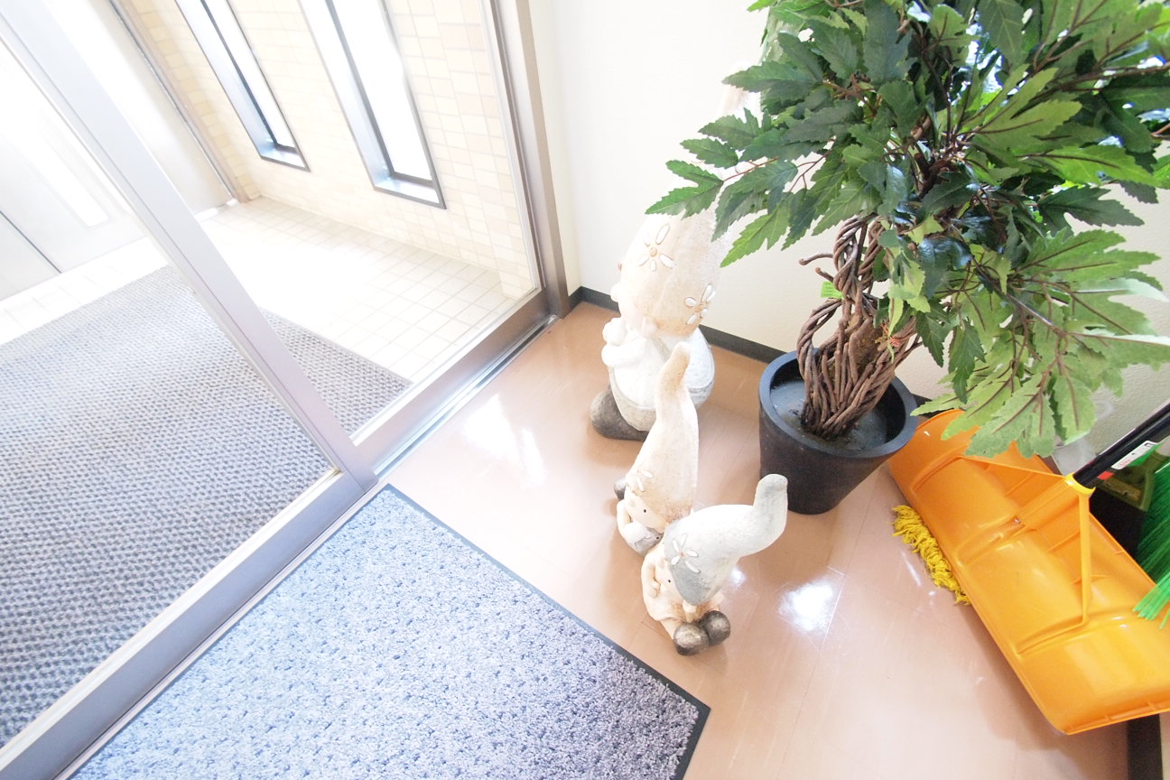 Entrance. Playful is one cup of Entrance. 