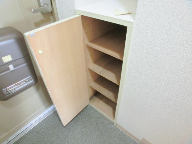 Receipt. With shoes BOX!