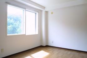 Living and room. Western style room